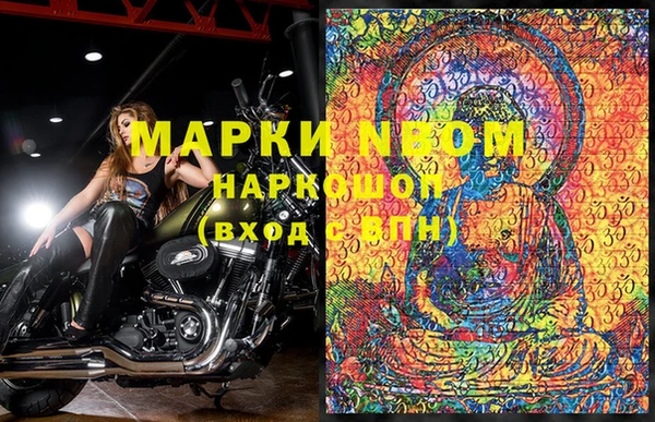 прущие грибы Кодинск