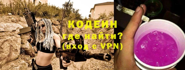 прущие грибы Кодинск