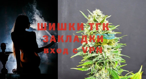 прущие грибы Кодинск