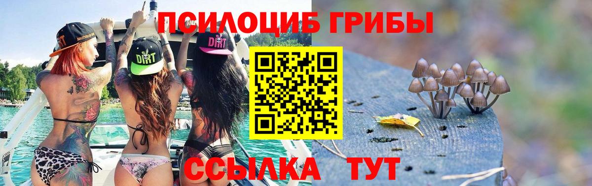 Псилоцибиновые грибы мицелий Кумертау