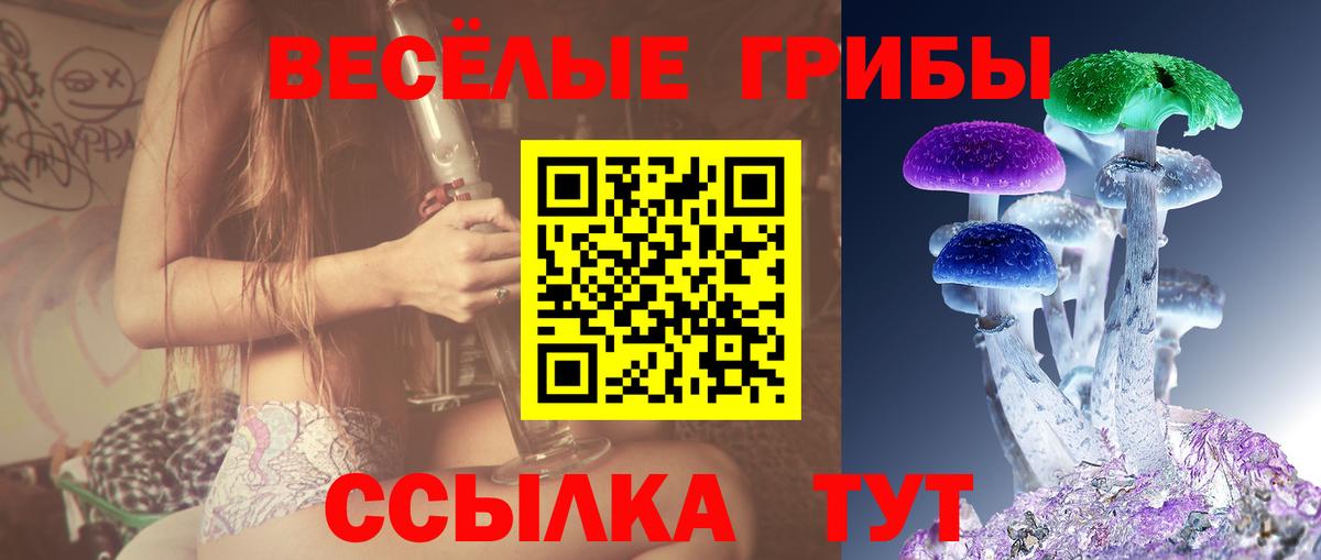 Псилоцибиновые грибы MAGIC MUSHROOMS  Вход с VPN  где найти наркотики  Кумертау 